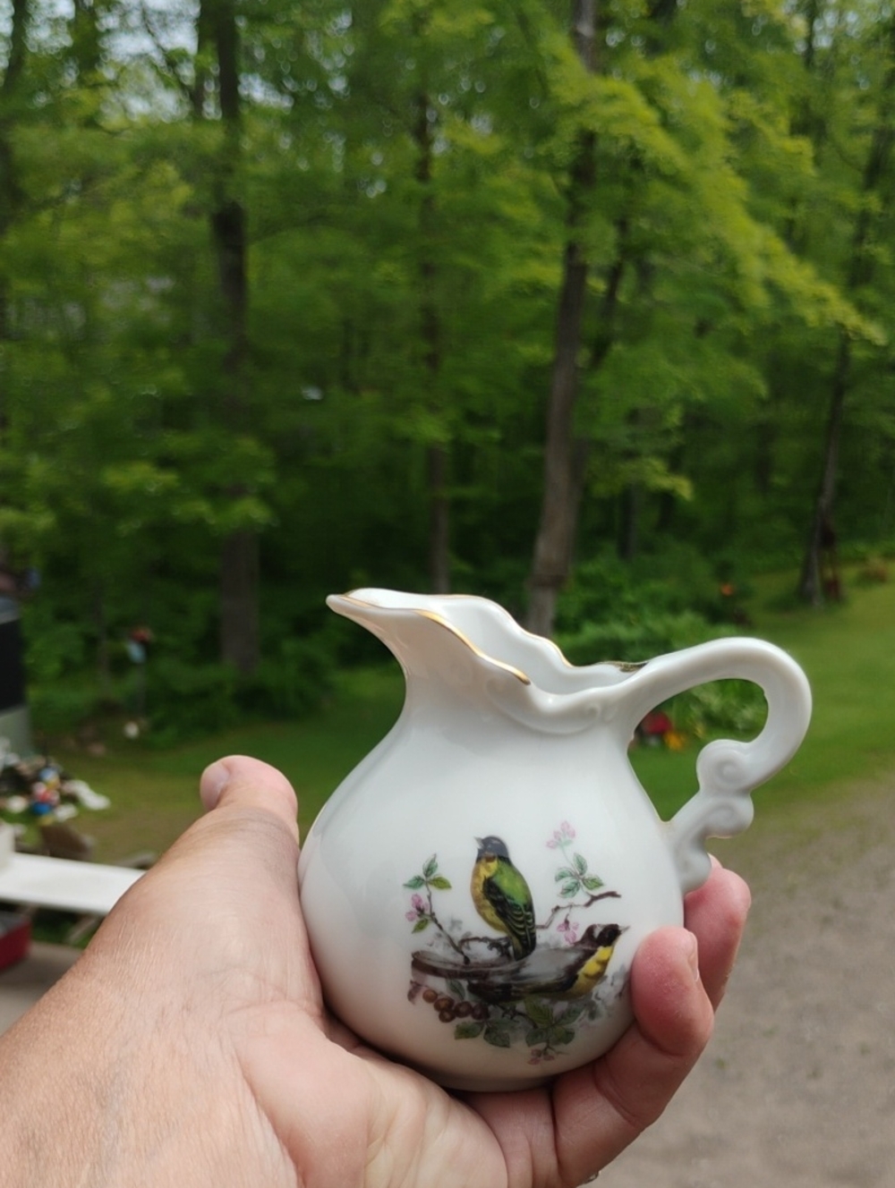Mid-century Modern Royal Parakeet CREAMER VNVC